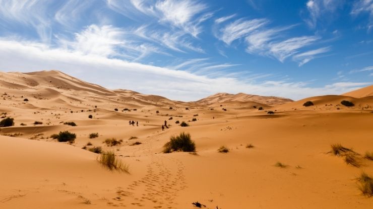 10 Days Tour from Tangier